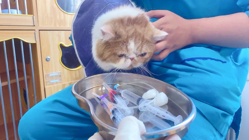 #b站相册动态 ＃小狗说 少爷明天回府晚安16 秒前 | -三松许-