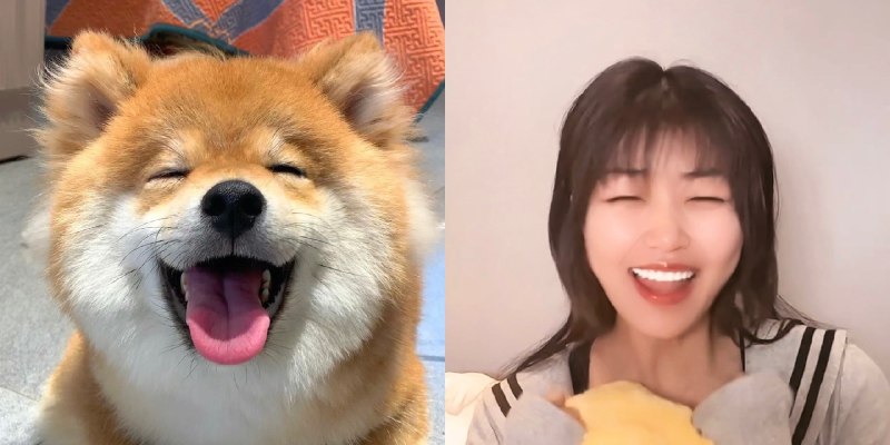 #b站相册动态 ＃小狗说 AAA销售唐啵啵