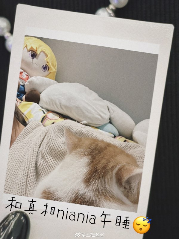 #微博照片 3/9