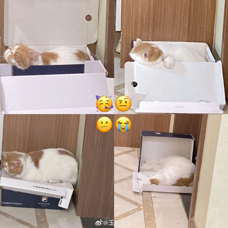 #微博照片 9/9