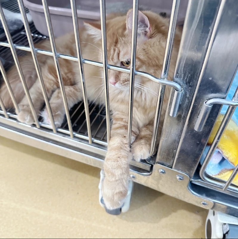 #b站相册动态 共 2 张