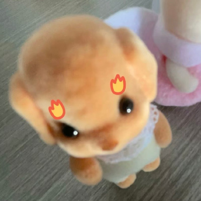 #b站相册动态 6/9