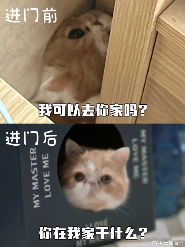 #微博评论回复 好可爱被回复的评论 6 分钟前 @玉桂喵子