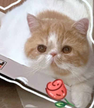 #微博评论回复 不 是我们滤镜厚了被回复的评论 10 分钟前 @小酒三三