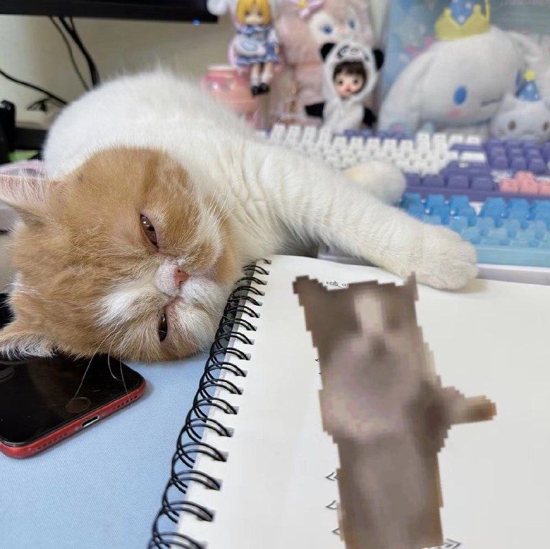 #b站音频 【三松许】告白气球（原唱周杰伦） - -三松许-《告白气球》原唱