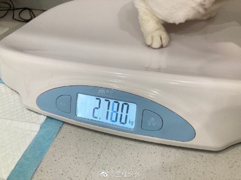 #微博评论 现在是2.7 待会该轻了被评论的微博 三松许玉桂幺幺       “说来嘲讽   我不太懂  渴望你懂”         《红玫瑰》              🐿🥀52 秒前 属地河南 | 玉桂幺幺
