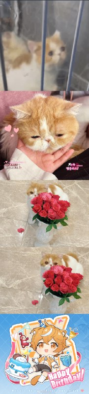 #微博照片 6/9