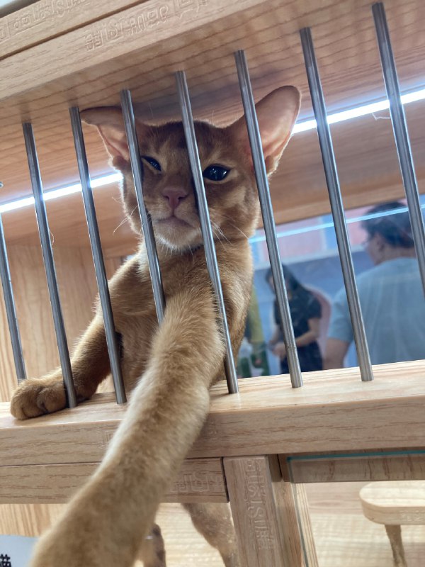 #珈乐魂 #微博照片 3/9