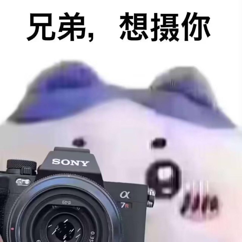 #b站相册动态 共 9 张