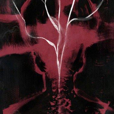 #珈乐魂 #b站取消关注 遮着不能关注