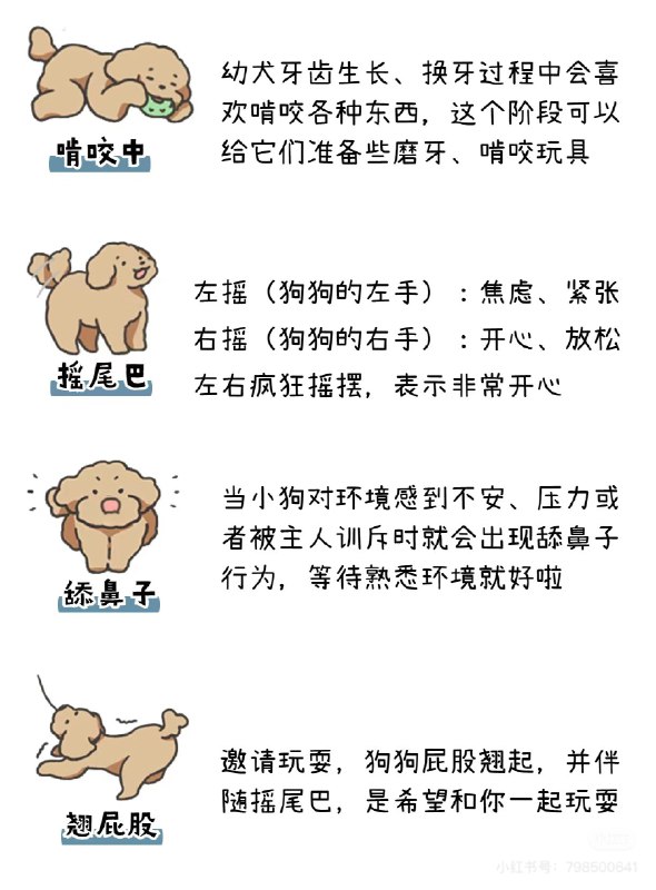 #b站相册动态 共 3 张