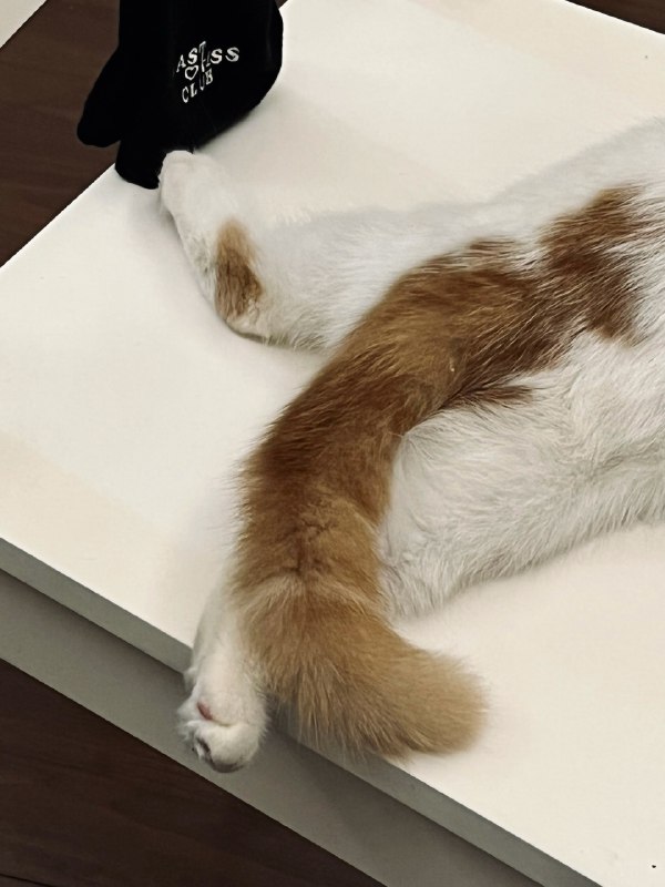 #珈乐魂 #b站相册动态 3/3