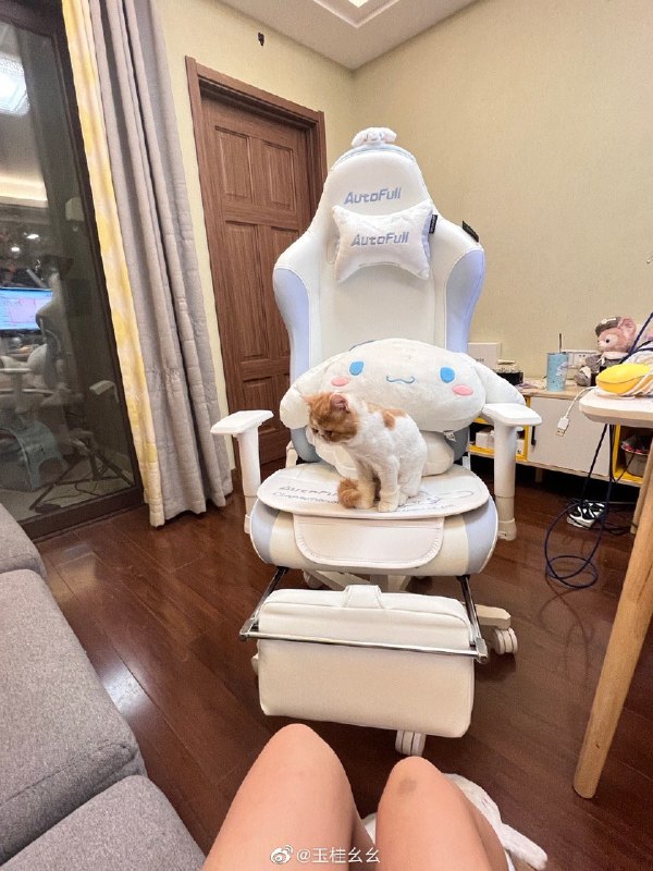 #微博评论回复 回复@不2不叫周婌怡