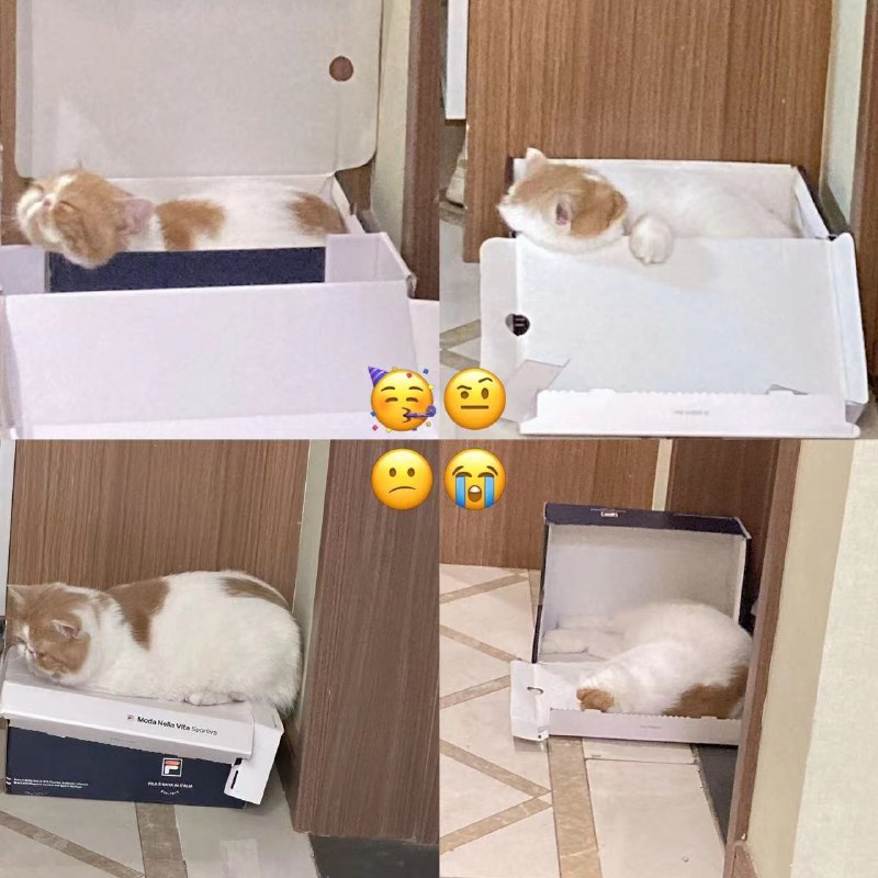 #b站音频 【三松许】IF YOU（原唱