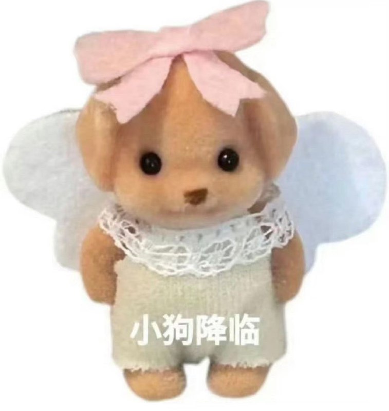 #b站相册动态 2/2