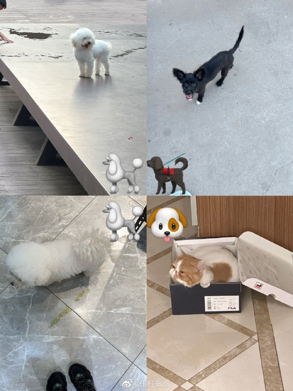 #微博照片 4/9