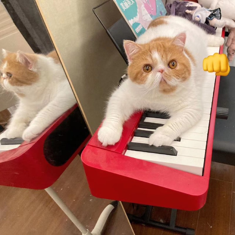 #b站音频 【三松许】青花瓷（原唱周杰伦） - -三松许-《青花瓷》原唱