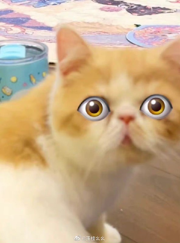 #珈乐魂 #微博照片 3/4