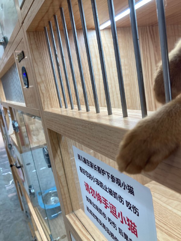 #珈乐魂 #微博照片 2/9