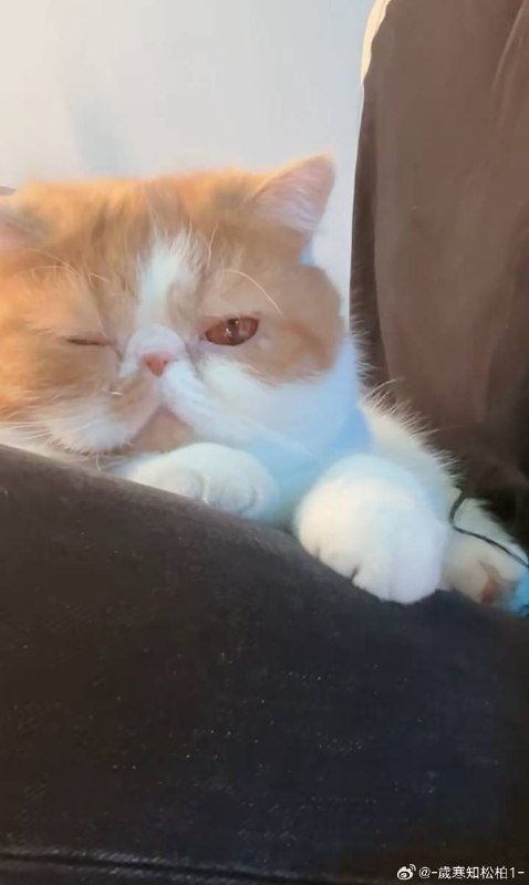 #b站相册动态 3/9