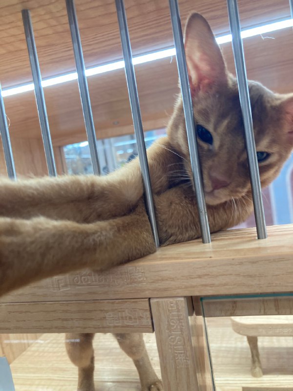 #珈乐魂 #微博照片 7/9