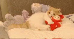 #b站相册动态 6/9