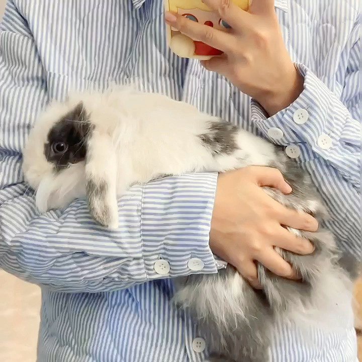 #微博照片 中午不啵[爱你]歇了大家记得假期好好吃饭 我们晚上见（最近好想这个小兔子）15 秒前 属地河南 | 玉桂幺幺