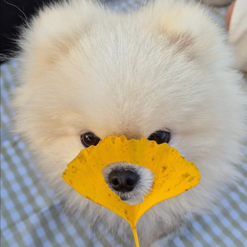 #b站相册动态 ＃宇宙偏袒猫猫 “少丢东西，特别是我”9 分钟前 | -三松许-