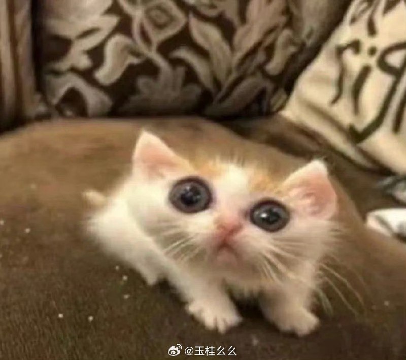 #微博照片 8/9