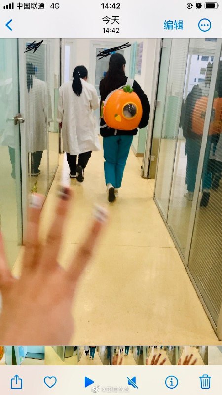 #微博评论 你一定要幸福呀真相被评论的微博 三松许玉桂幺幺       “说来嘲讽   我不太懂  渴望你懂”         《红玫瑰》              🐿🥀3 秒前 属地河南 | 玉桂幺幺