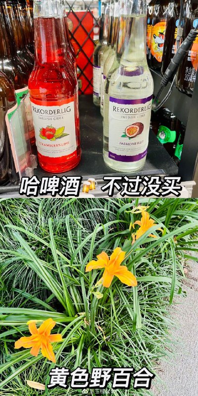 今晚评论回复配图的合订本 🥰今晚评论回复配图的合订本 🥰