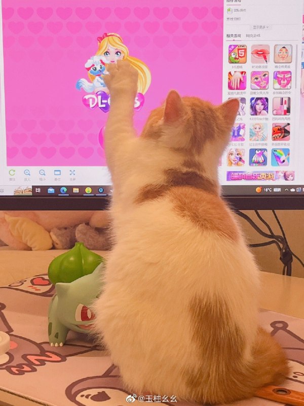 #微博评论 昨天有练舞  （控制在2h） 今天有一些酸痛无力和心跳过快症状 玩了一会游戏   黄金矿工第五关了 拜拜我去午觉了 我觉得需要睡睡热被评论的微博 这个 转给需[赢牛奶]52 秒前 属地河南 | 玉桂幺幺