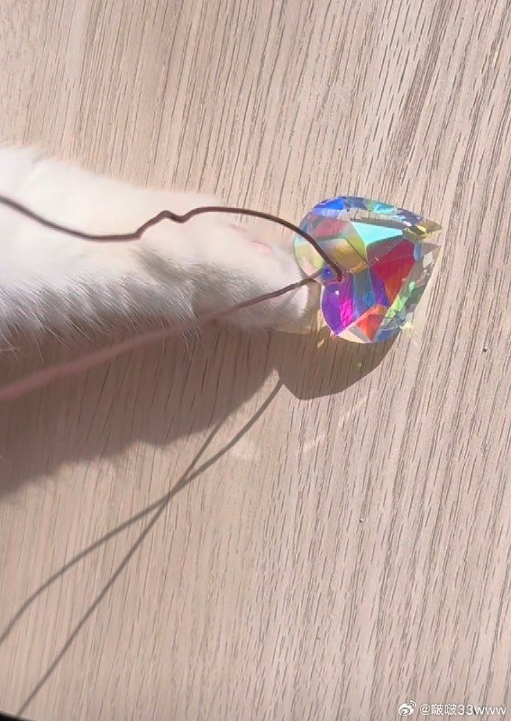 #微博评论回复 被治愈到了[路辰绘旅人]被回复的评论 4 分钟前 @啵啵33www