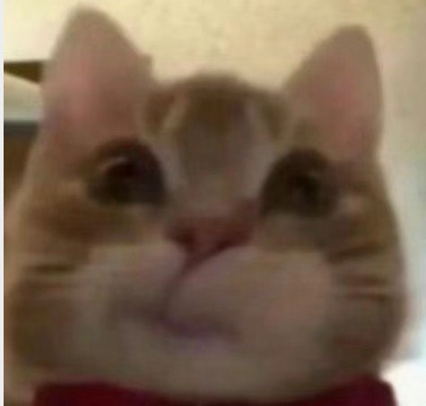 #微博评论回复 一摸一样 评论回复配图 