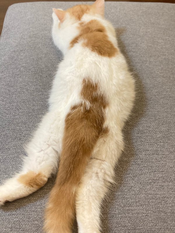 #珈乐魂 #b站相册动态 分享图片14 秒前 | 啵啵小狗341