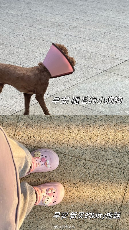 #微博照片 共 9 张